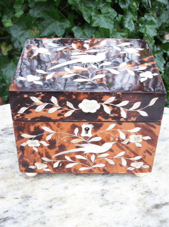 A Victorian Tortoiseshell Tea Caddy