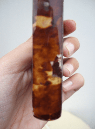 A Victorian Tortoiseshell Card Case