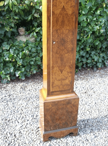 Burr Walnut Grandmother Clock -SOLD-