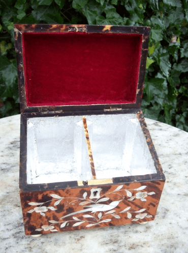 A Victorian Tortoiseshell Tea Caddy