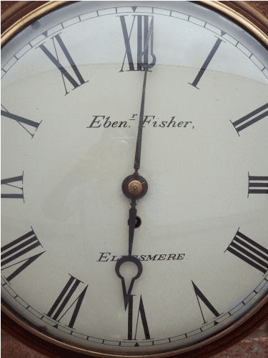 8 Day Fisher (Ellesmere)