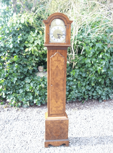 Burr Walnut Grandmother Clock -SOLD-