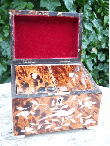 A Victorian Tortoiseshell Tea Caddy
