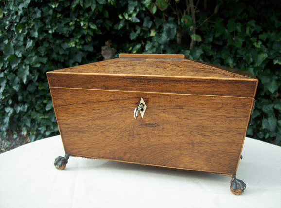 A Regency Rosewood Tea Caddy