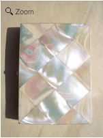 A Victorian Mother of Pearl Card Case