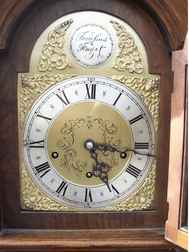Burr Walnut Grandmother Clock -SOLD-