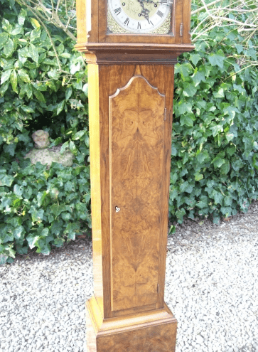 Burr Walnut Grandmother Clock -SOLD-