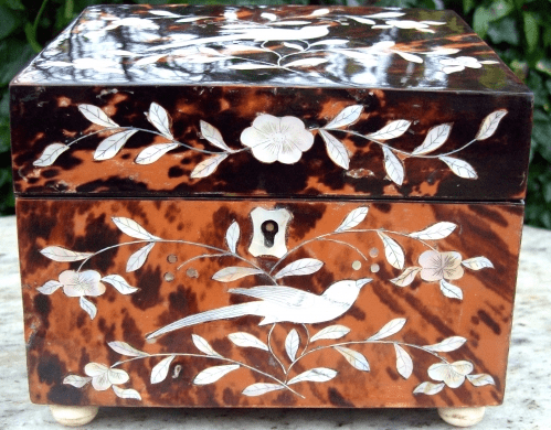 A Victorian Tortoiseshell Tea Caddy