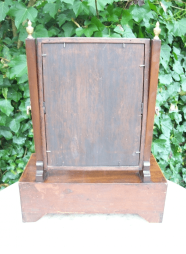 Georgian Swing Mirror