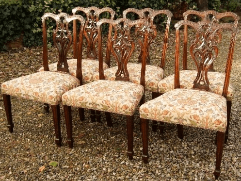 A Set of 6 Chippendale Chairs