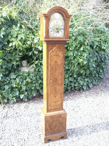 Burr Walnut Grandmother Clock -SOLD-
